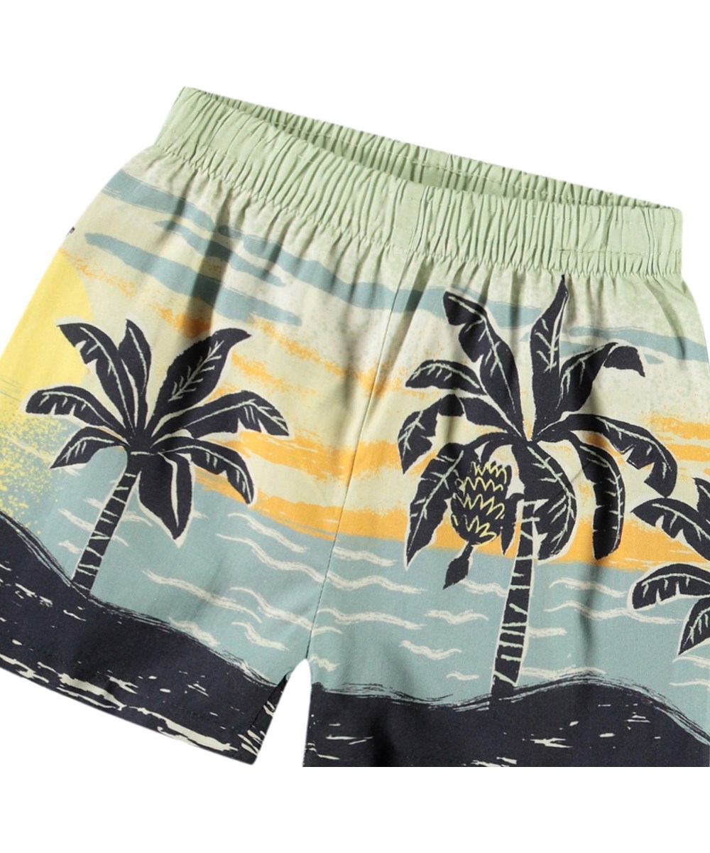 Solar - Palm Babynanas - Shorts with a lovely palm print in organic cotton for baby.