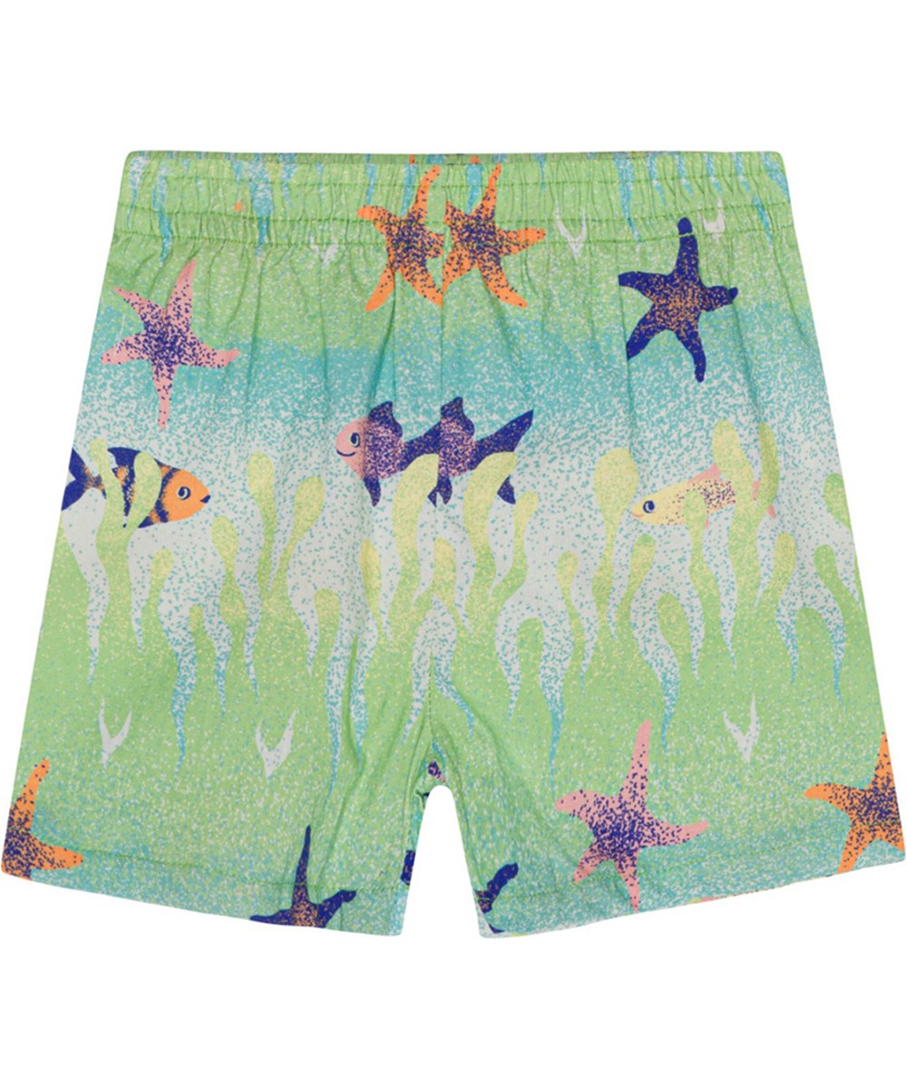 Solar - Under The Sea - Soft shorts for small children in organic cotton with a print of fish and starfish