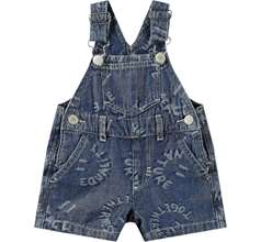 Spot Shorts