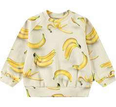 Disc Sweaters