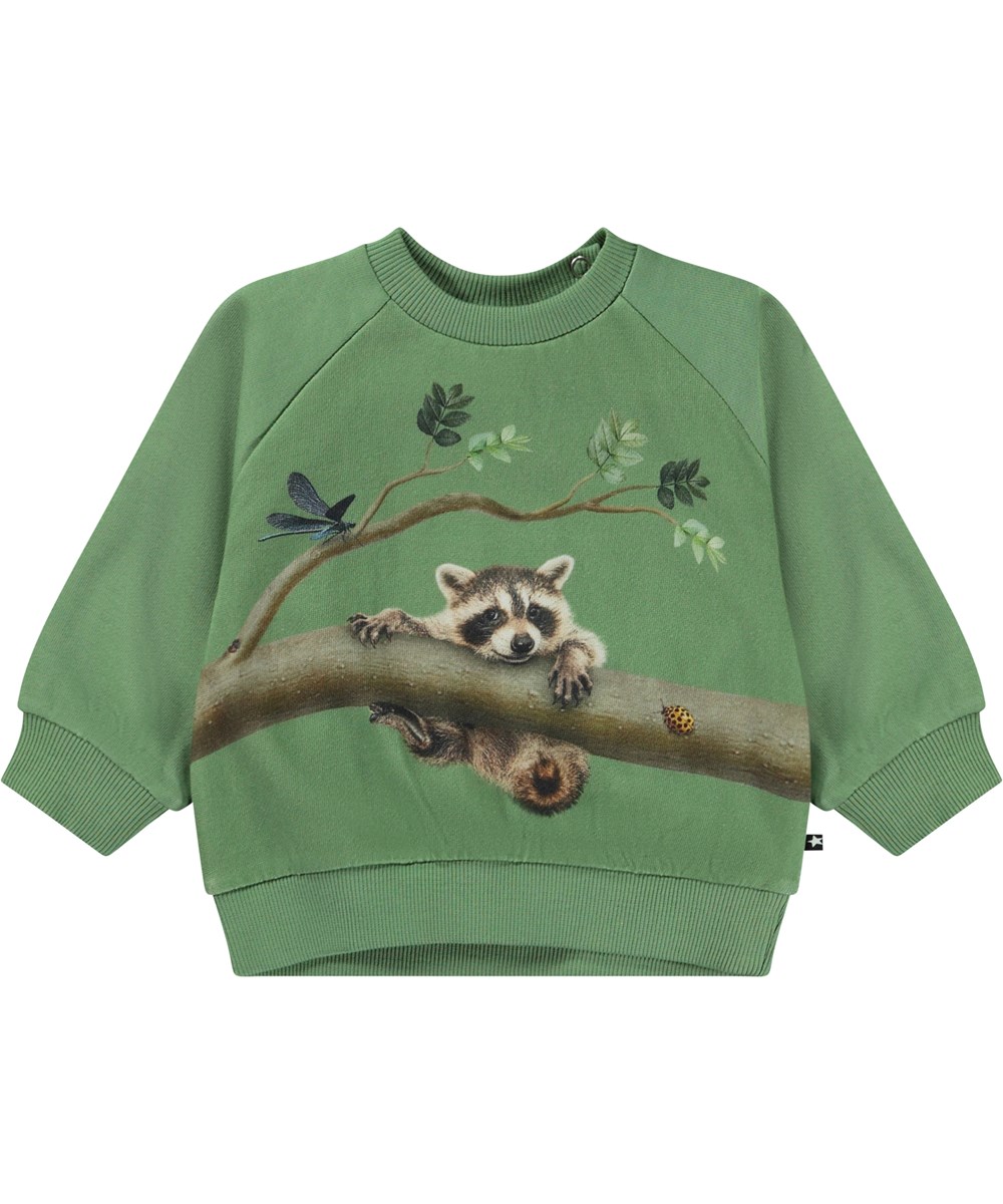 Disc - Branch Living - Green organic baby sweatshirt with raccoon placement print