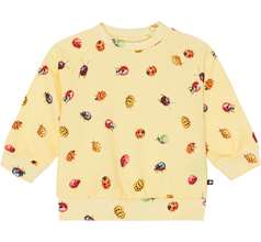 Disc Sweaters