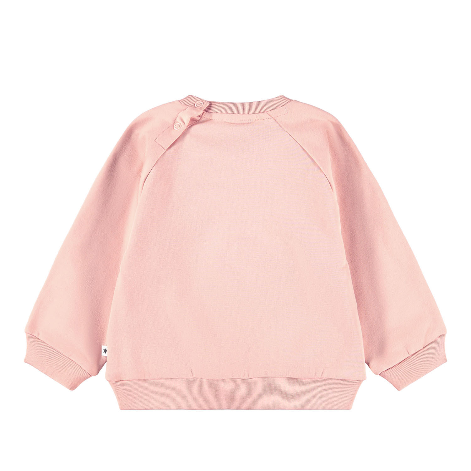 ★OAMC★ Amphibian Sweatshirt Rose 23E28OAJ24COT00835660 Washed Heritage 14 Oz. Fleece Hoodie For Men | J.Crew
