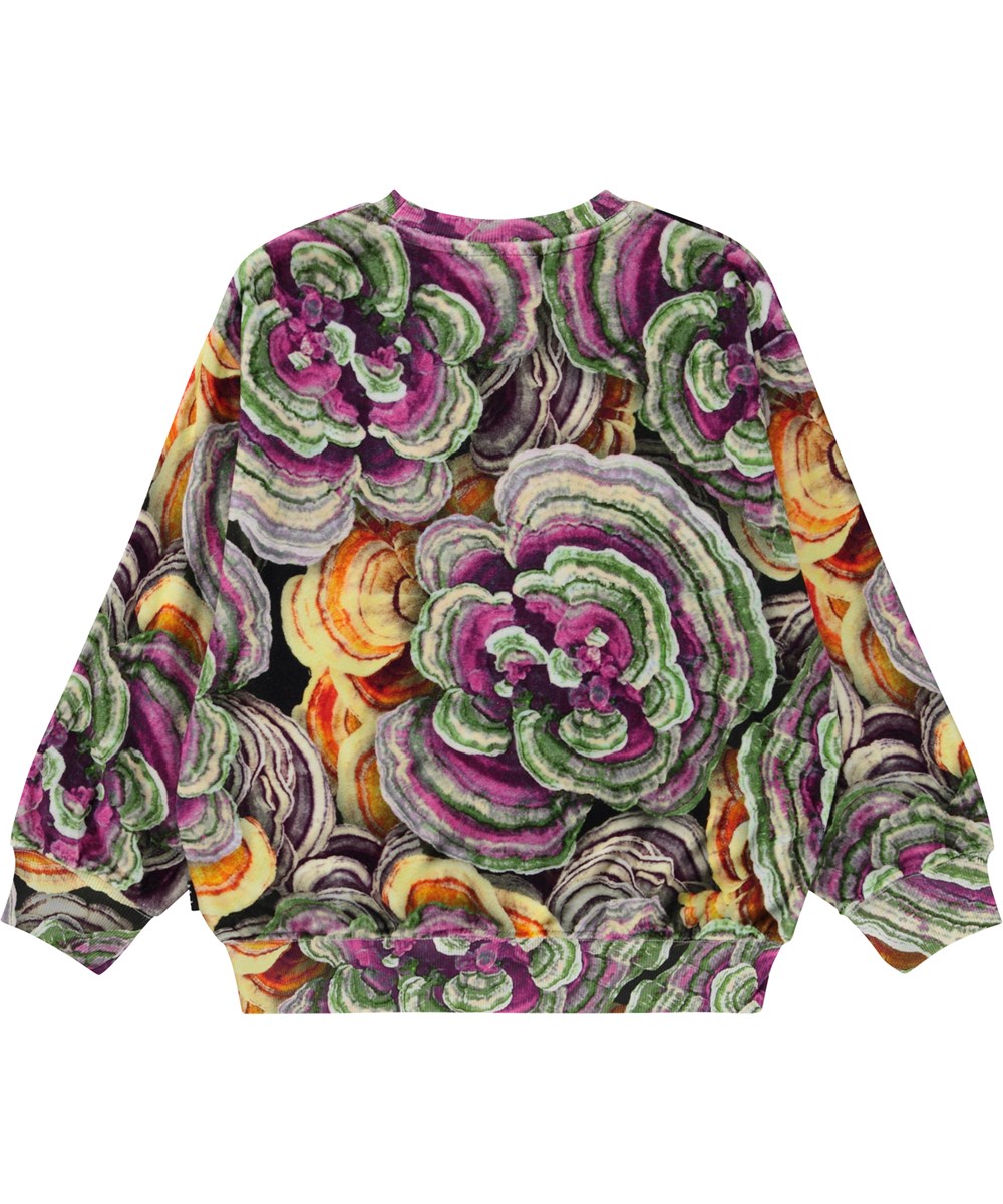 Monti - Wood Fungi - Multi-coloured sweatshirt in velour with all over mushroom print