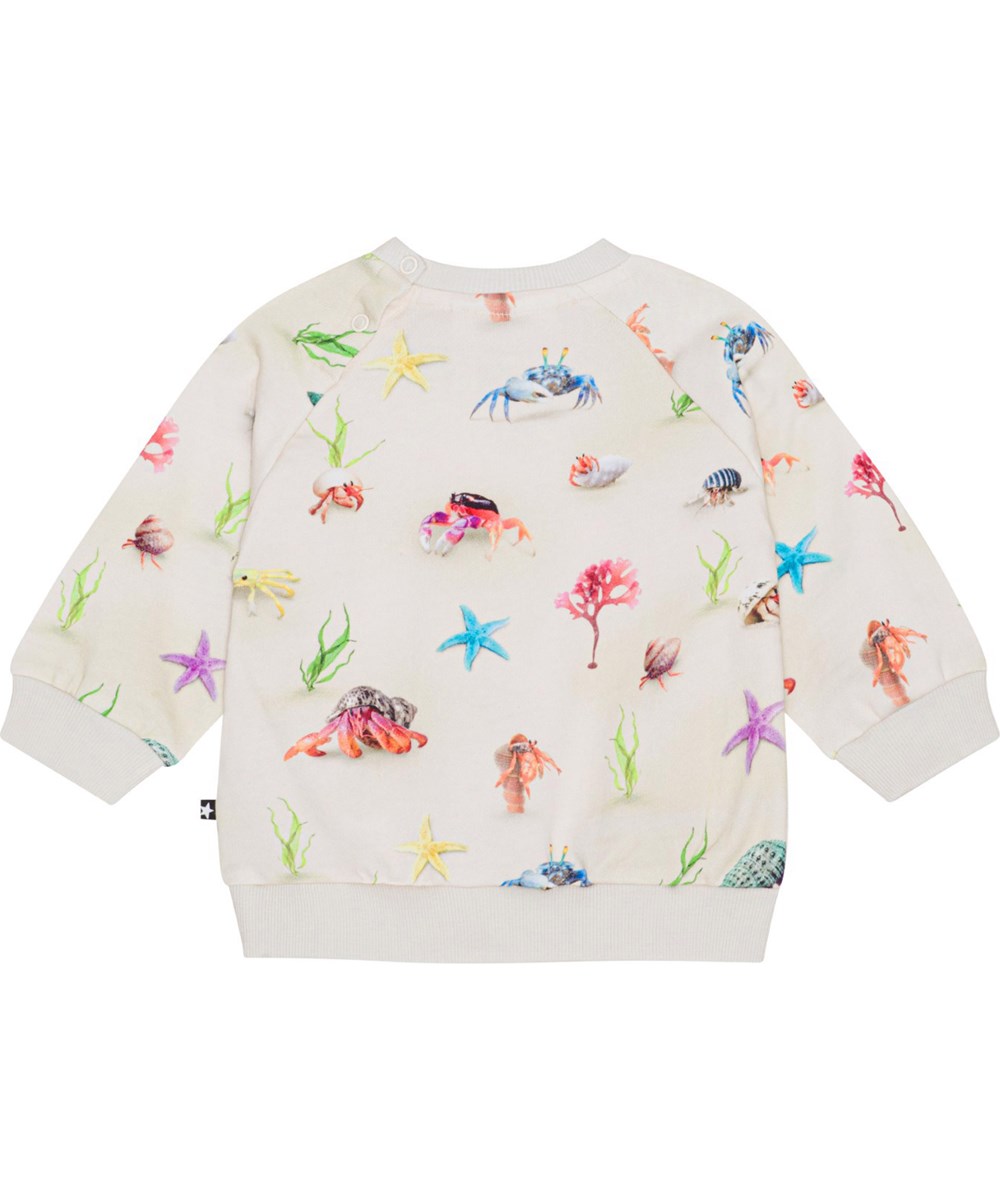 Disc - Hermit Crab - Sandfarbener Pullover für die Kleinen aus Öko-Baumwolljersey