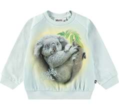 Disc Sweaters