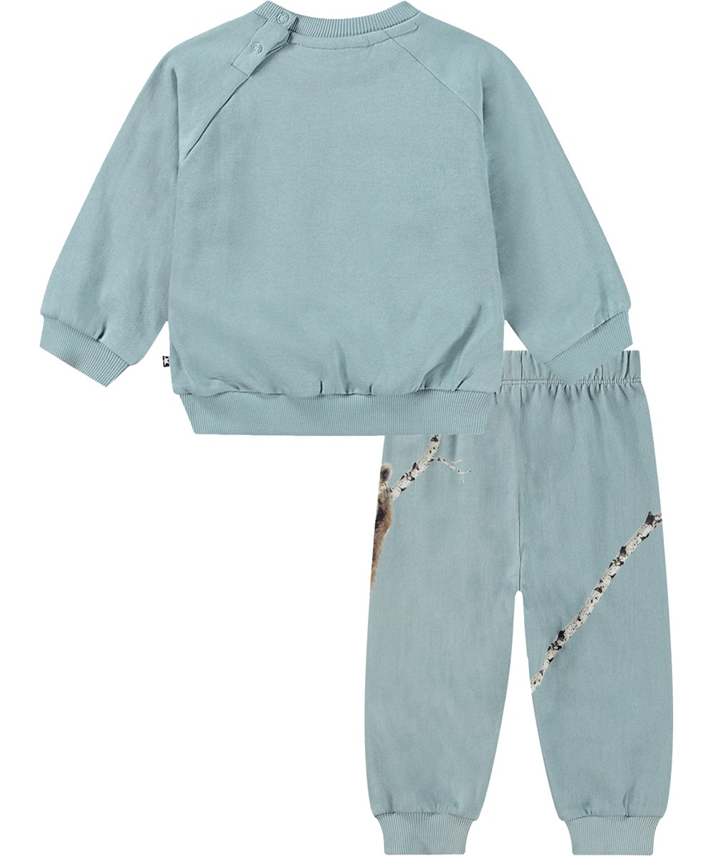 Disc set - Birch Tree Bear - 