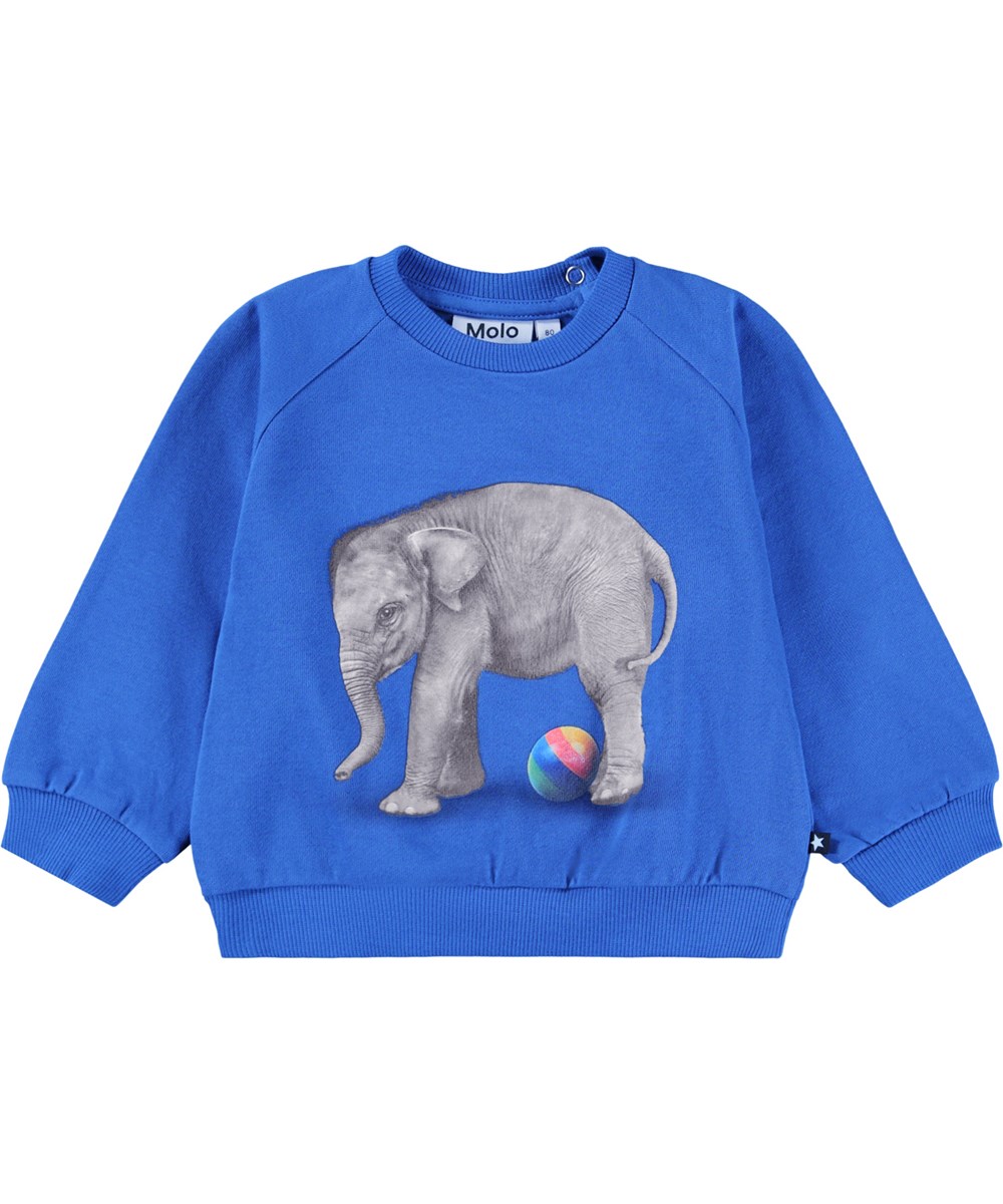 Disc - Shallow Sea - Blaues Sweatshirt für die Kleinen aus weicher Öko-Baumwolle mit einem Elefanten-Print auf der Vorderseite.