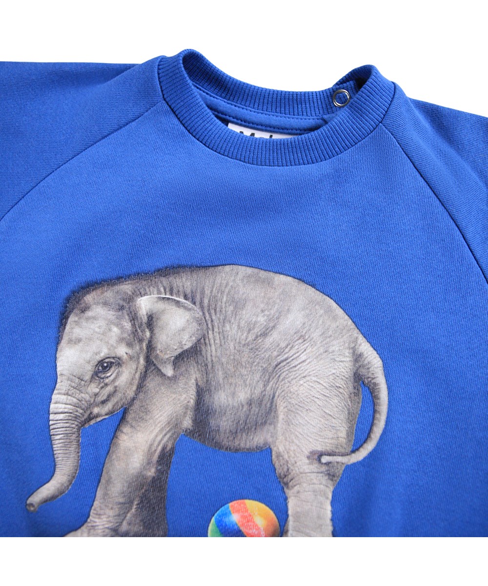 Disc - Shallow Sea - Blaues Sweatshirt für die Kleinen aus weicher Öko-Baumwolle mit einem Elefanten-Print auf der Vorderseite.