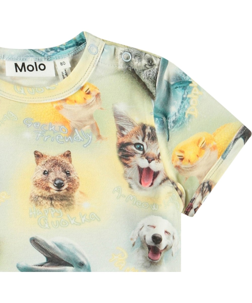 Easy - Smilng Cubs - Baby t-shirt van biologisch katoen. Het t-shirt heeft een aanlsuitende pasvorm en een print van blije dieren