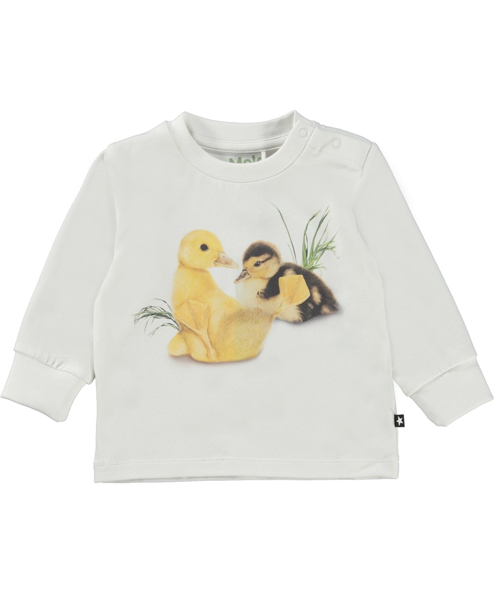 Eloy - Ducklings Life - Witte babytrui met een eendjesprint