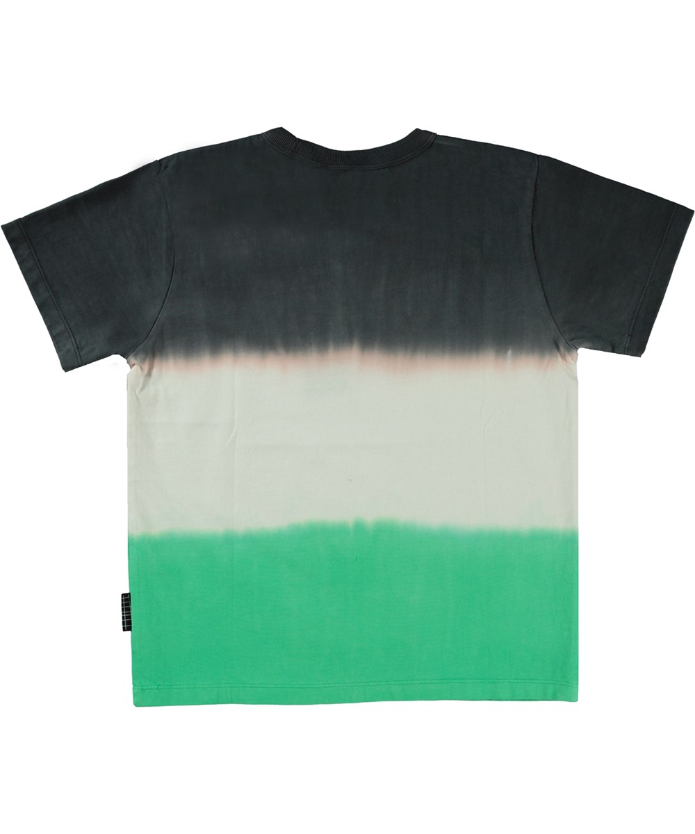 Riley - Green Stripe Dye - Unisex t-shirt met gestreepte tie-dye print