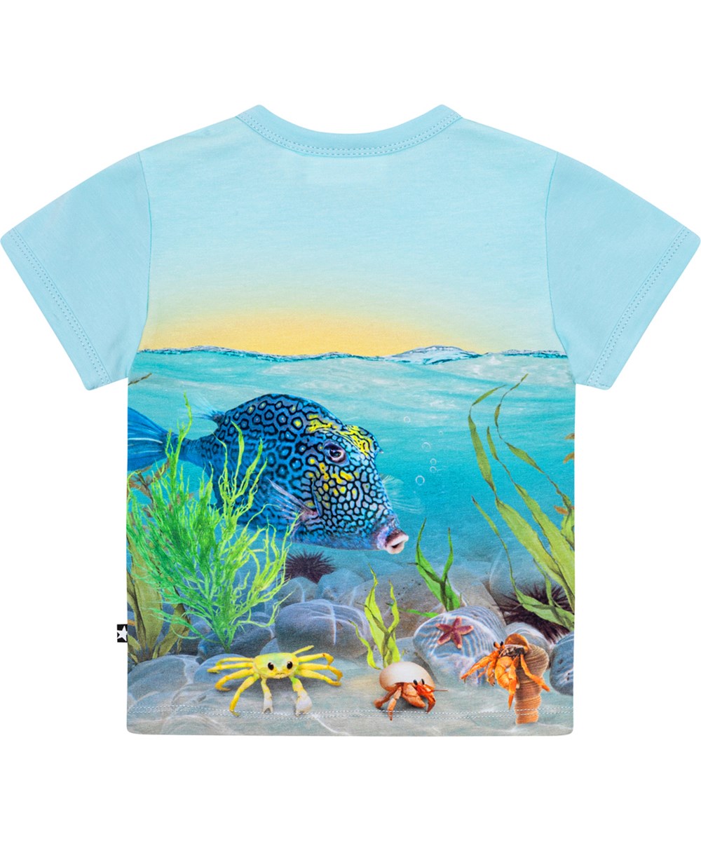 Easy - Tropic Sea T - Hellblaues Baby-T-Shirt aus Öko-Baumwolljersey mit einem Aufdruck vom Meeresgrund