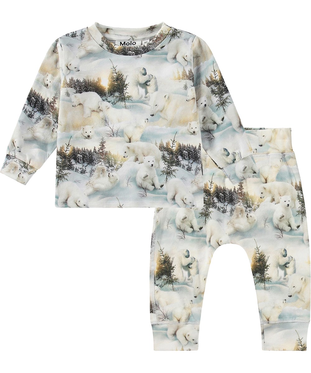 Eloy Set - Snowy Bears - 