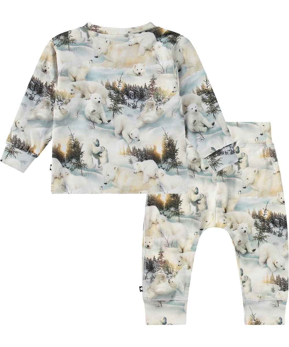 Eloy Set - Snowy Bears - 