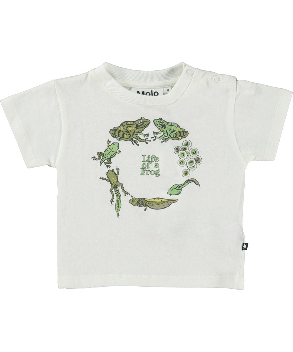 Enzo - White Star - Hvid baby t-shirt med frø print