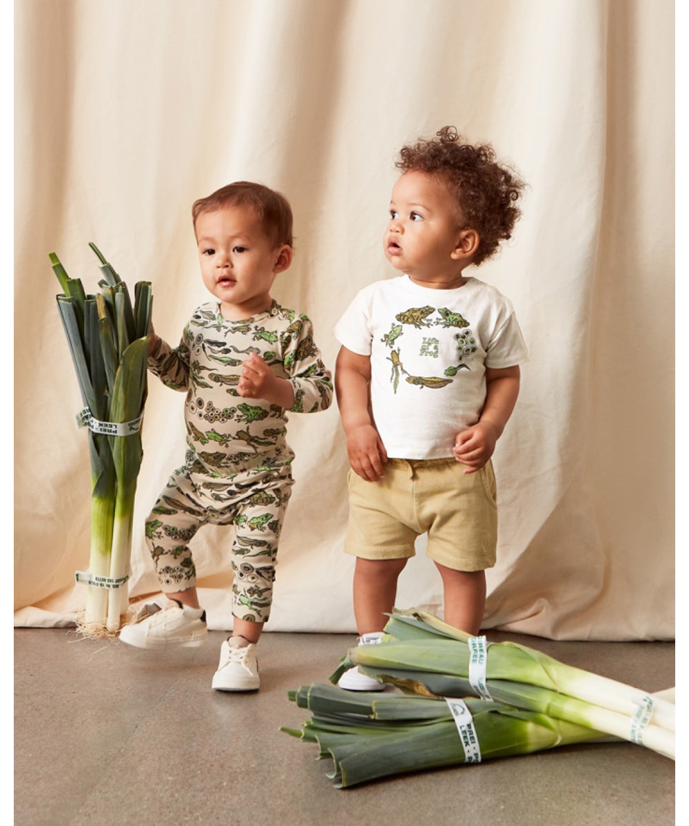 Enzo - White Star - Hvid baby t-shirt med frø print