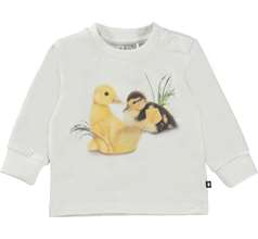 Eloy T-shirts & Tops