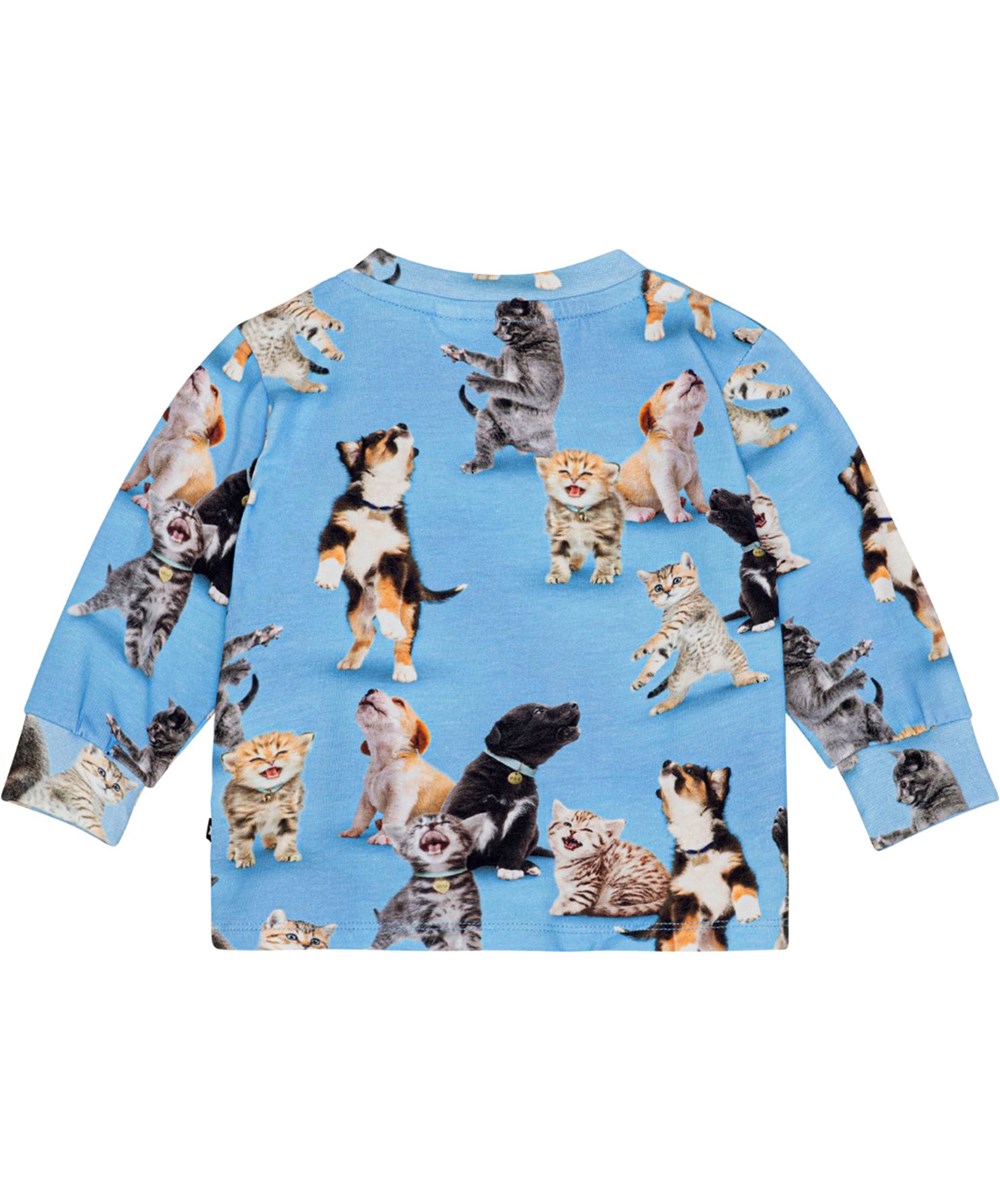 Eloy - Joy Of Music - Blue shirt for small children in organic cotton with a mandarin collar 