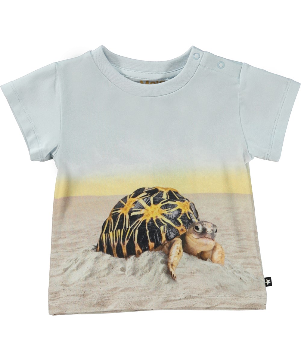 Emilio - Sunny Turtles - Light blue baby t-shirt with turtle print