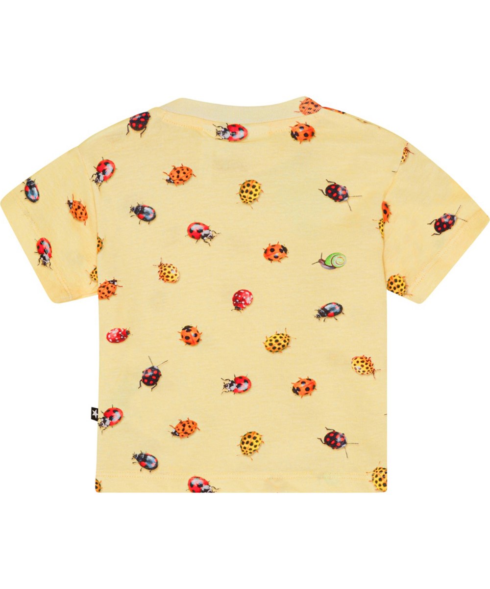 Enzo - Coccinella - Yellow t-shirt for small children in organic cotton with a print of cars, snails and ladybugs