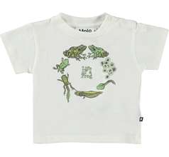 Enzo T-shirts & Tops