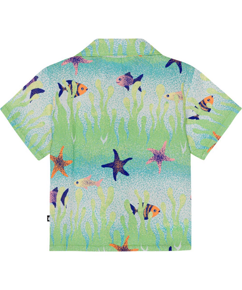Eyou - Under The Sea - Shirt for small children in organic cotton 