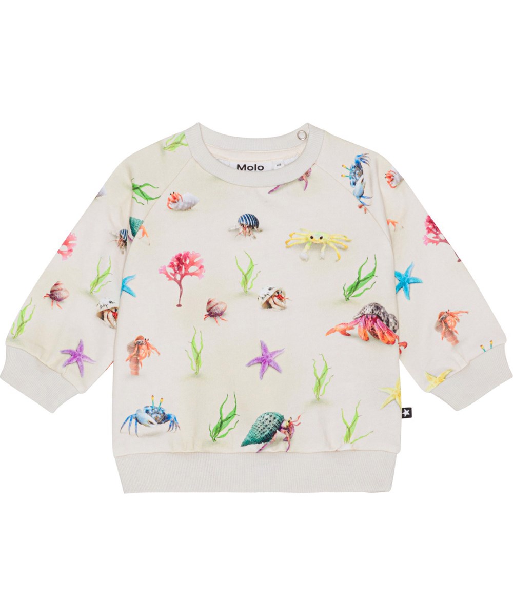 Disc - Hermit Crab - Sandfarvet sweater til de mindste i økologisk bomuldsjersey