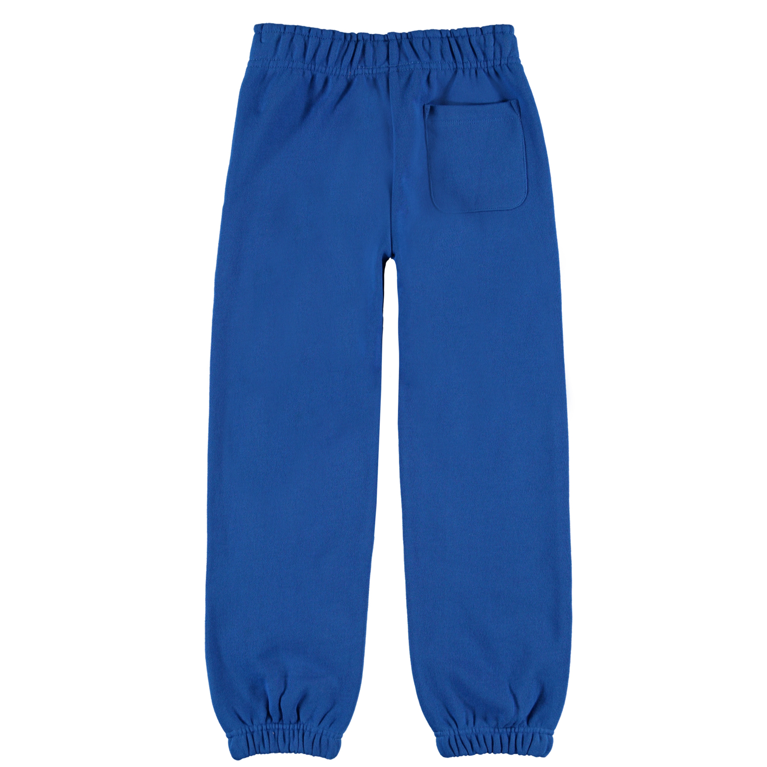 Ams - Royal Blue - Blue sweatpants - Molo