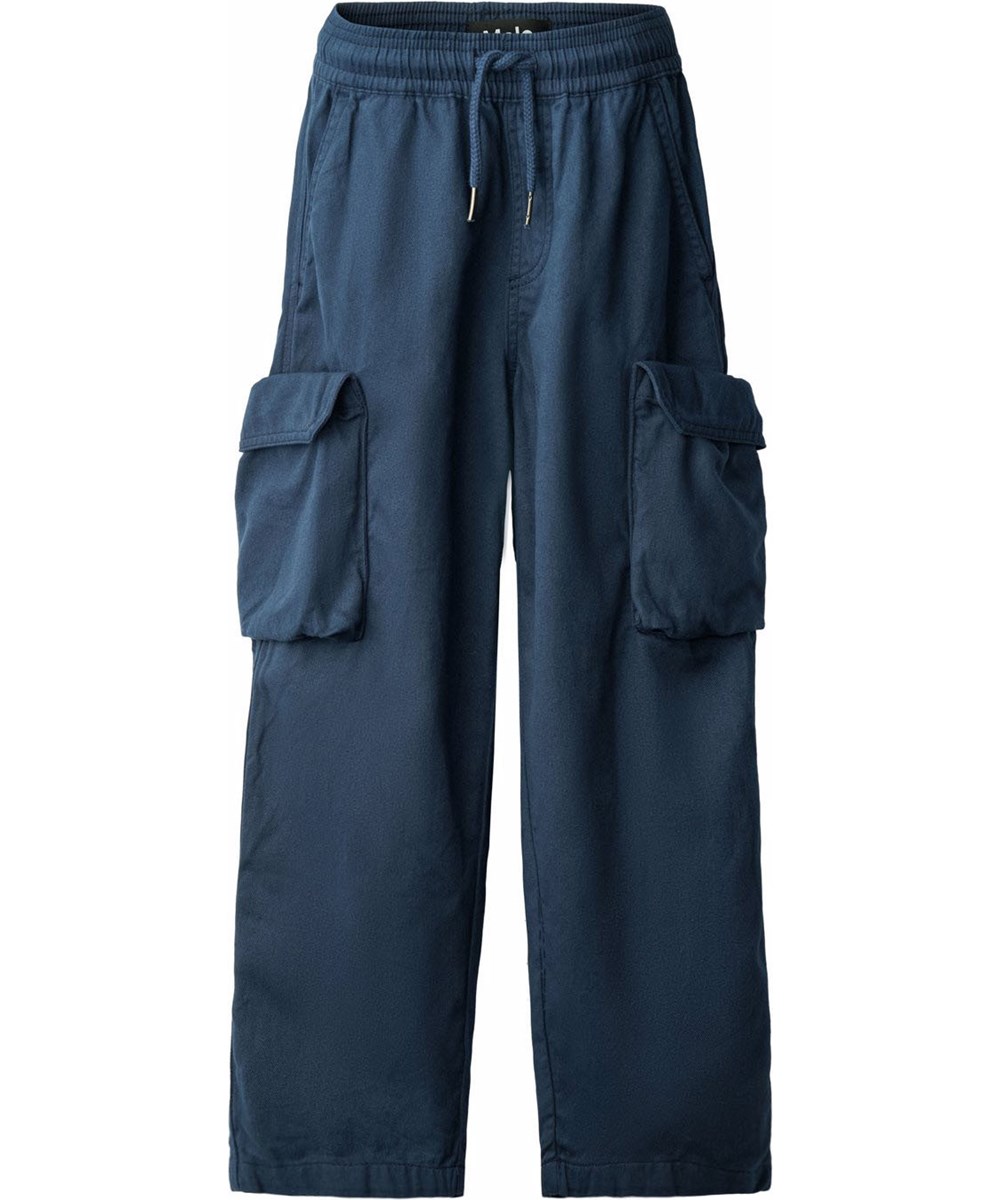 Argo - Galaxy Blue - Blue cargo pants made of organic cotton.
