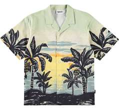 Rui Shirts