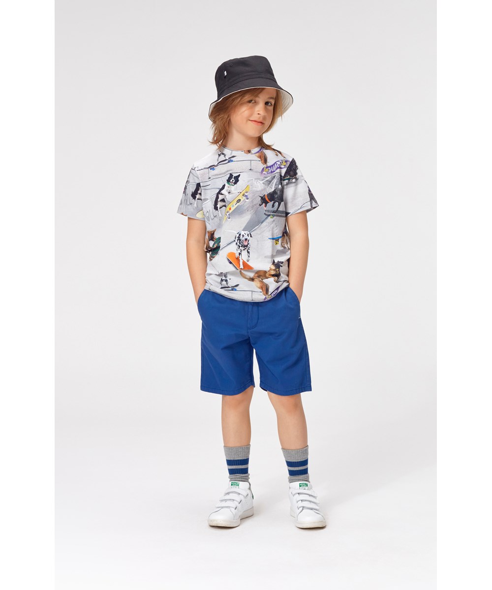 Ajvin - Naval Blue - Dark blue shorts