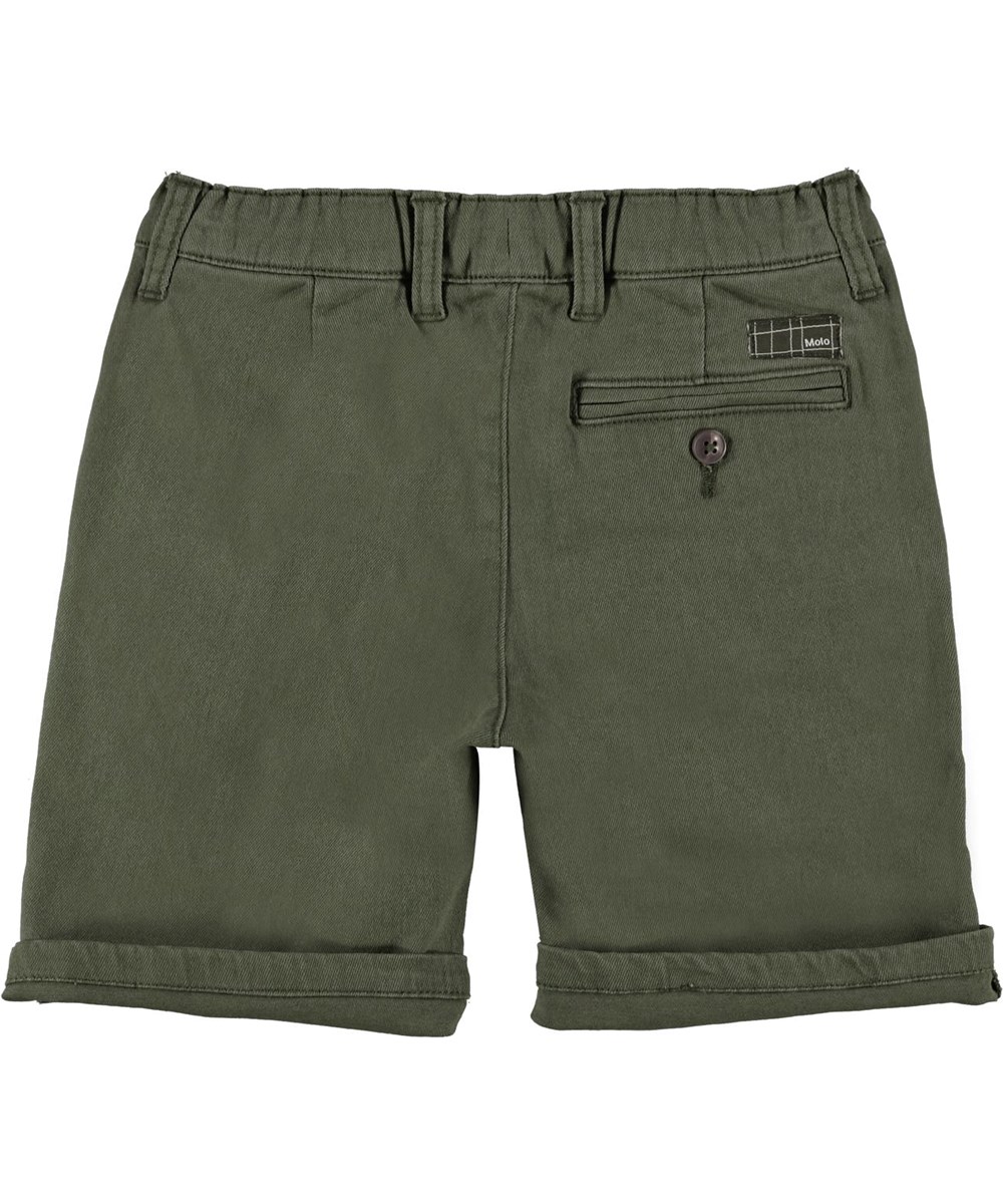 Ajvin - Vegetation - Green chino shorts