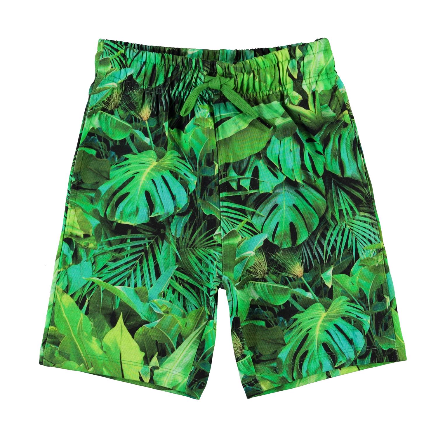 Allwin - Jungle Leaves - Organic shorts with jungle leaves - Molo