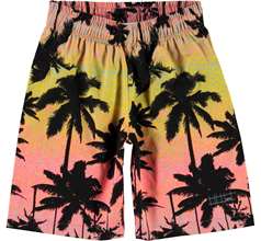 Alvaro Shorts