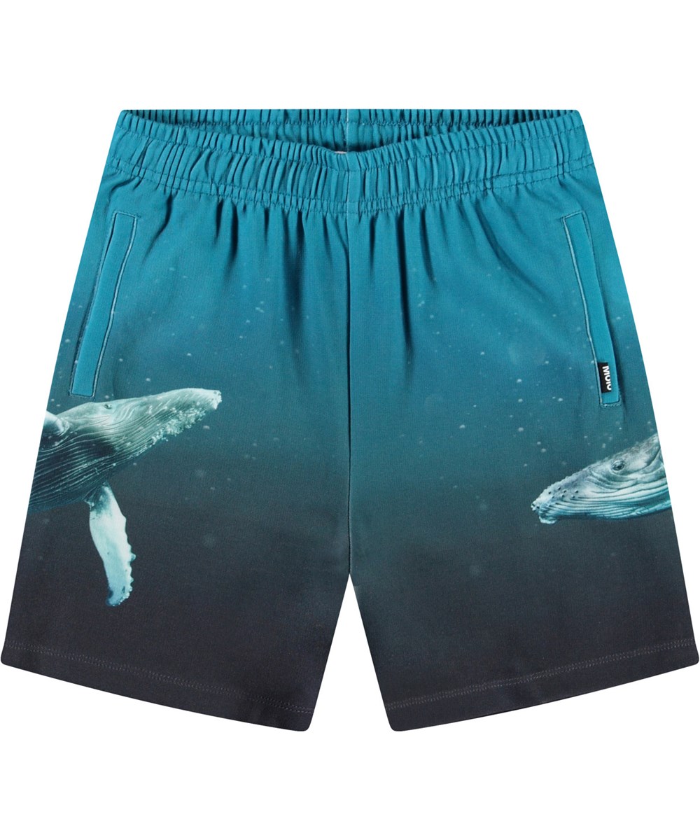 Amil Whale Dive Shorts in organic cotton jersey in blue with a