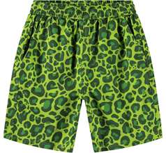 Avart Shorts