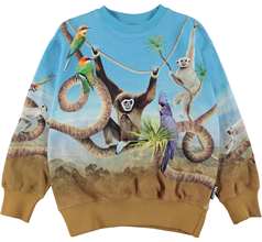 Mattis Sweaters