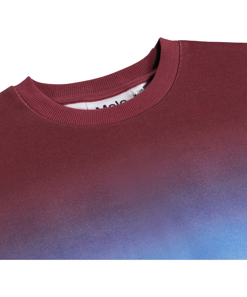 Miksi - Bengal Tiger - Sweatshirt for children made of organic cotton with a tiger print 