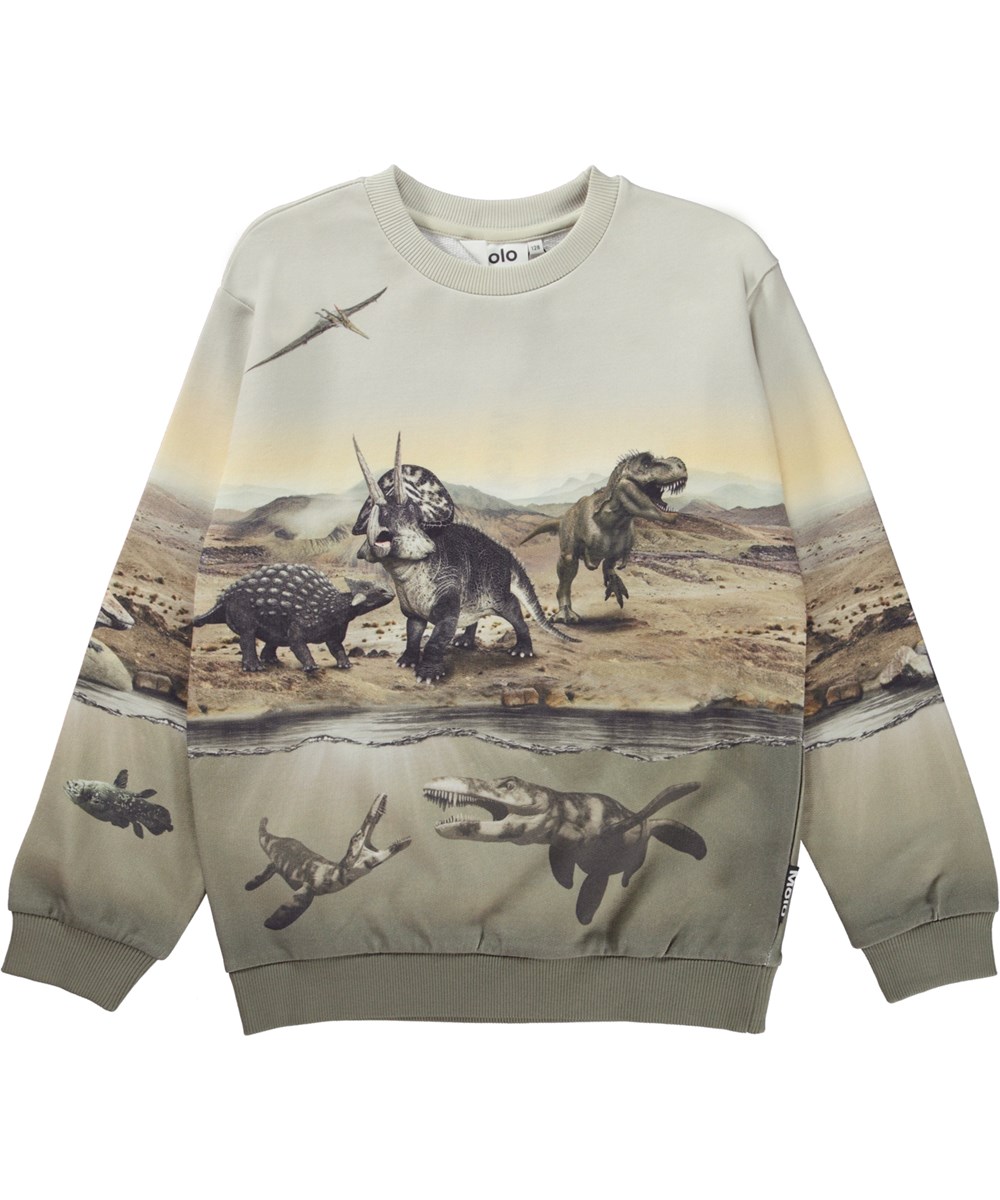 Miksi - Dry Land Dinos - Organic sweatshirt with dinosaur print