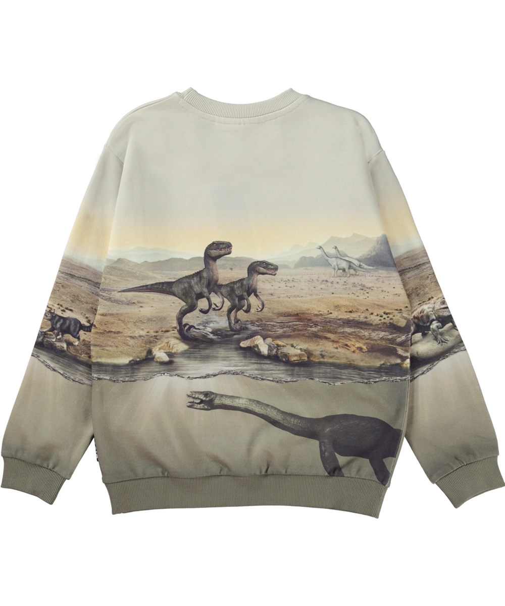 Miksi - Dry Land Dinos - Organic sweatshirt with dinosaur print