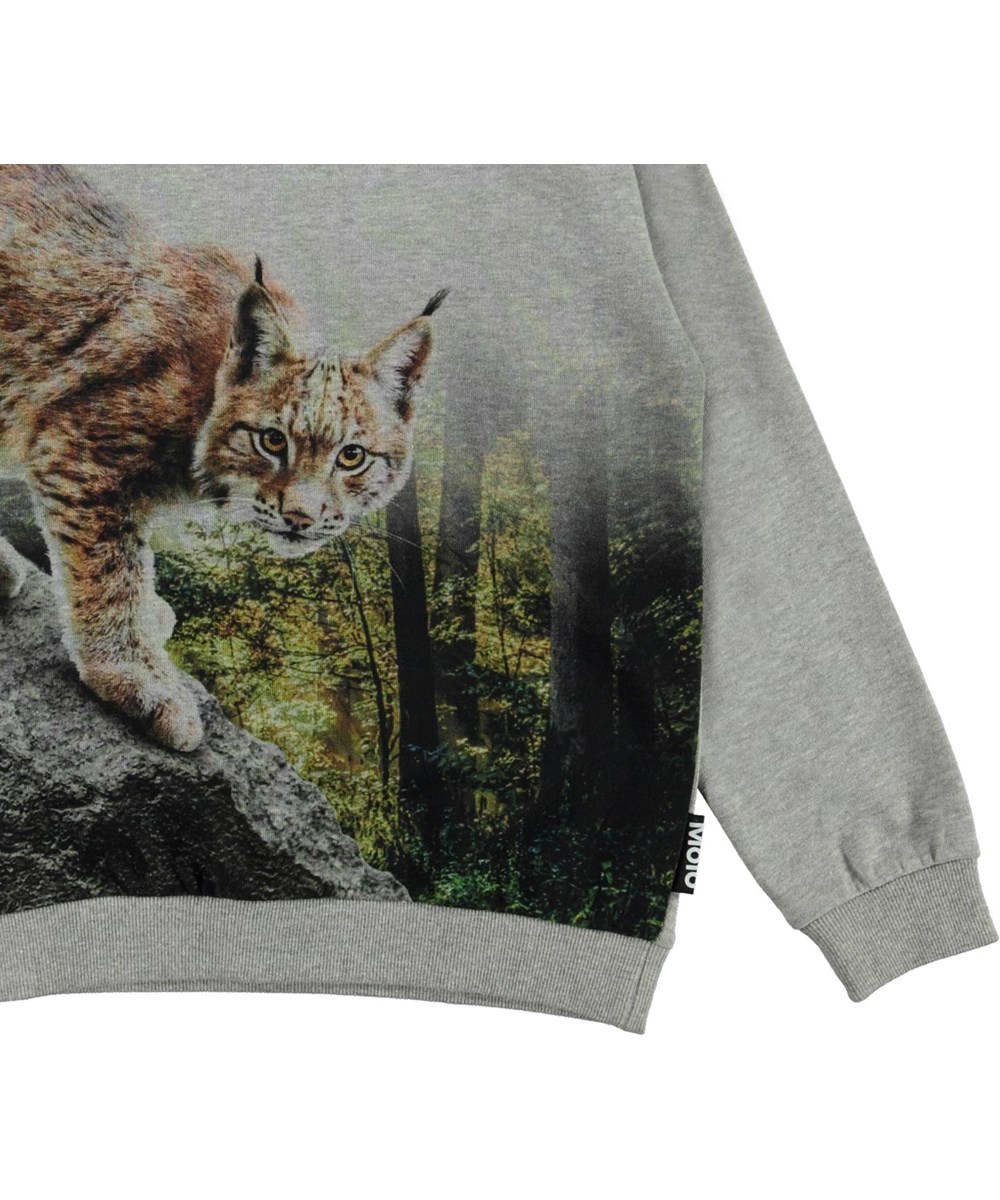 Miksi - Grey Lynx - Grey organic sweatshirt with linx