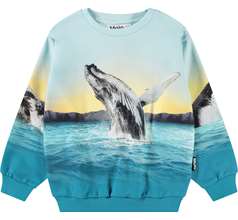 Miksi Sweaters