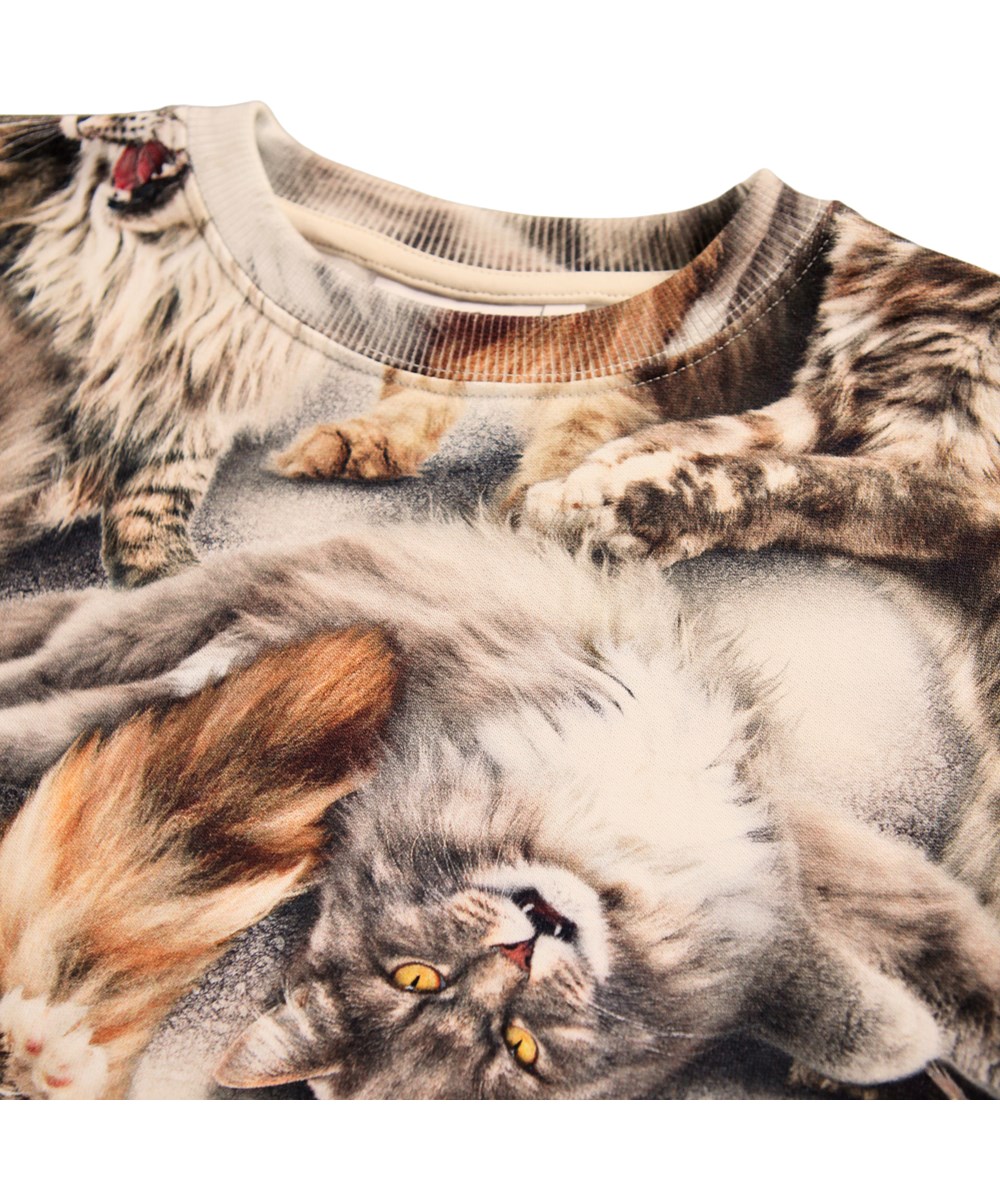 Monti - Cattitudes - Sweatshirt for children made of soft organic cotton with a brown print of cats.