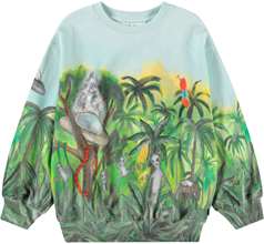 Monti Sweaters