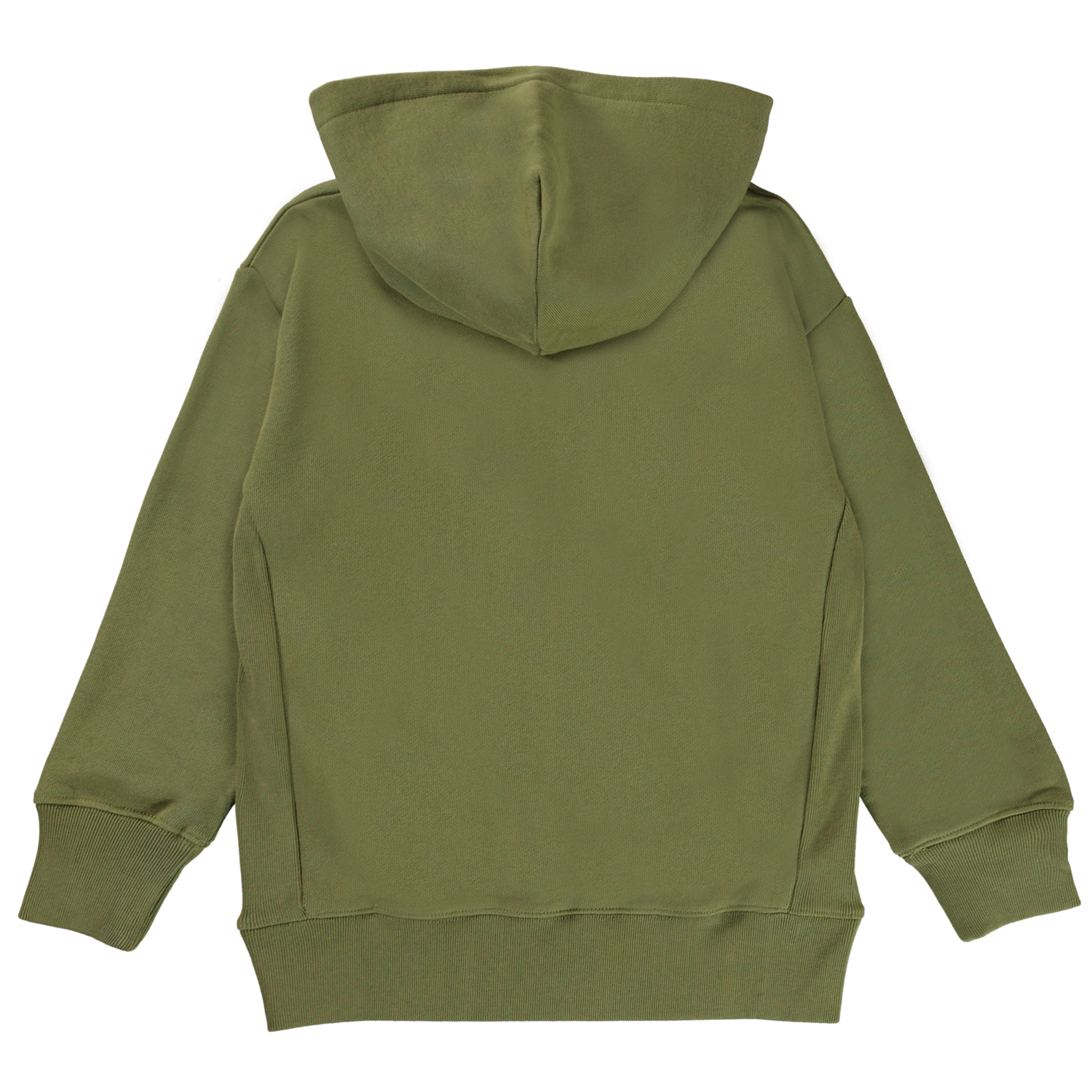 Moz - Sphagnum - Green organic hoodie - Molo