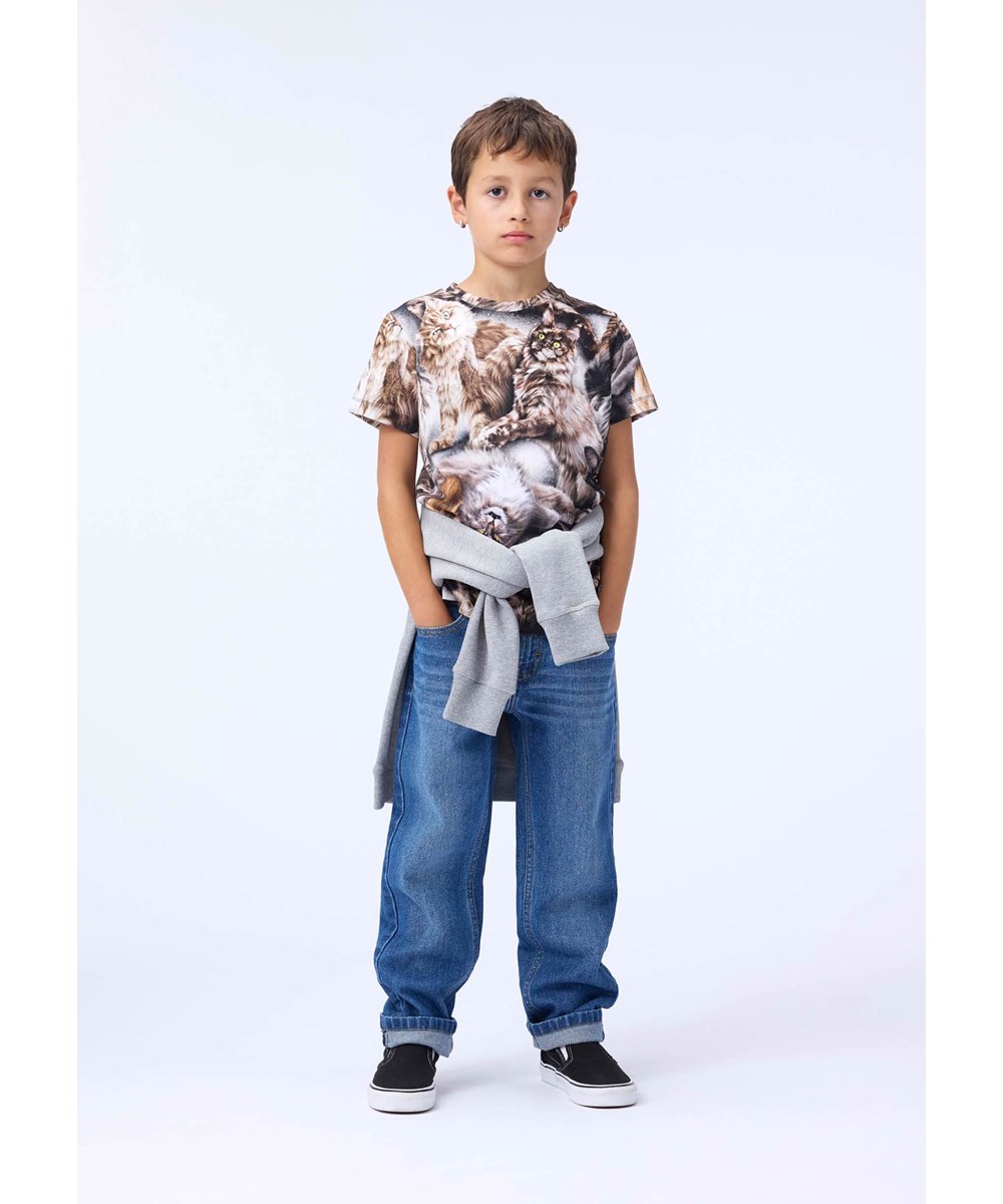 Ralphie - Cattitudes - Slim fit T-shirt for children made of soft organic cotton with cat print, short sleeves and a ribbed neckline.