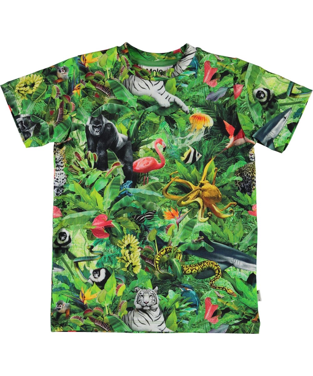 Ralphie Fantasy Jungle - Main Image