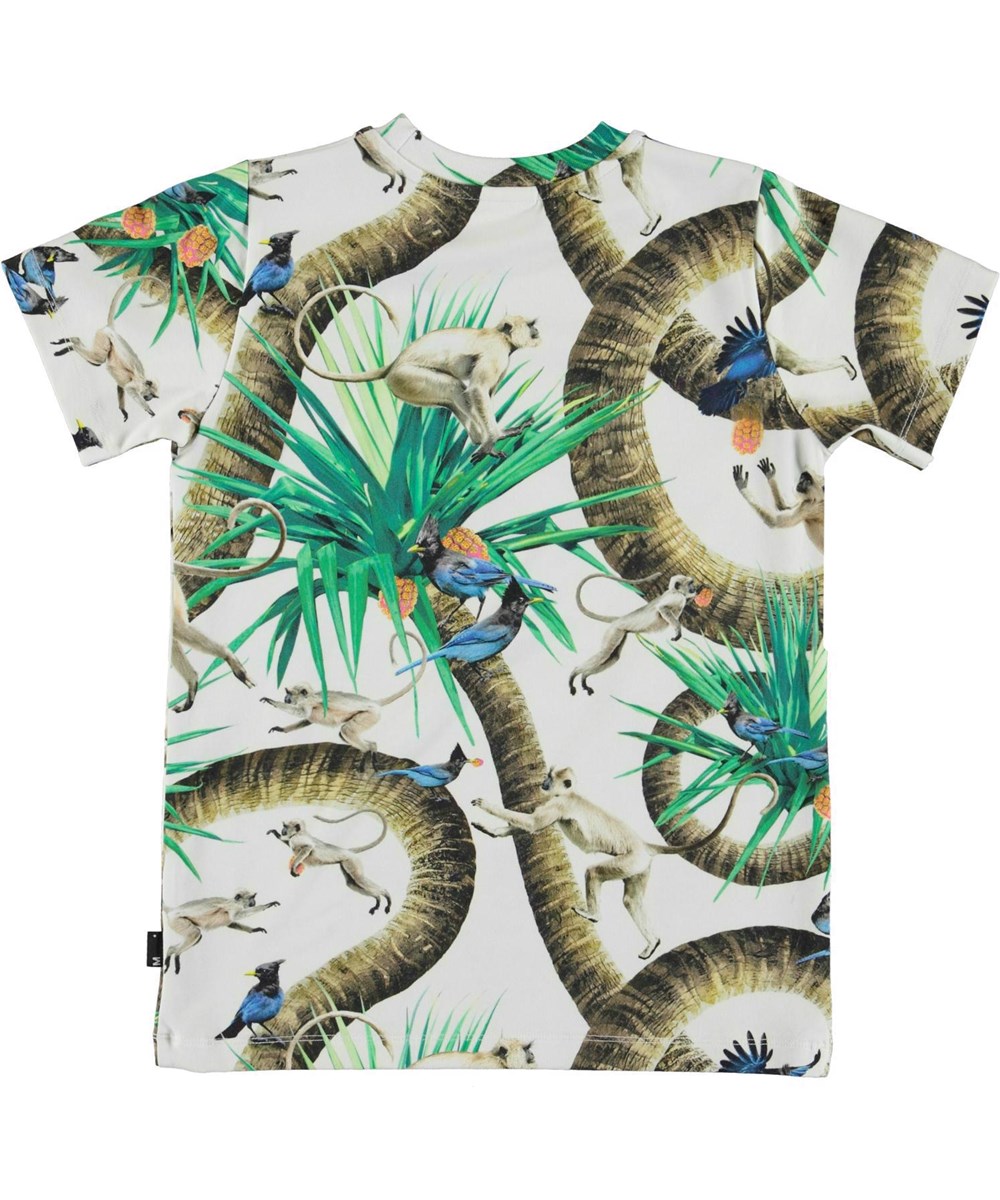 Ralphie - Monkey Business - Organic t-shirt with a print of monkeys