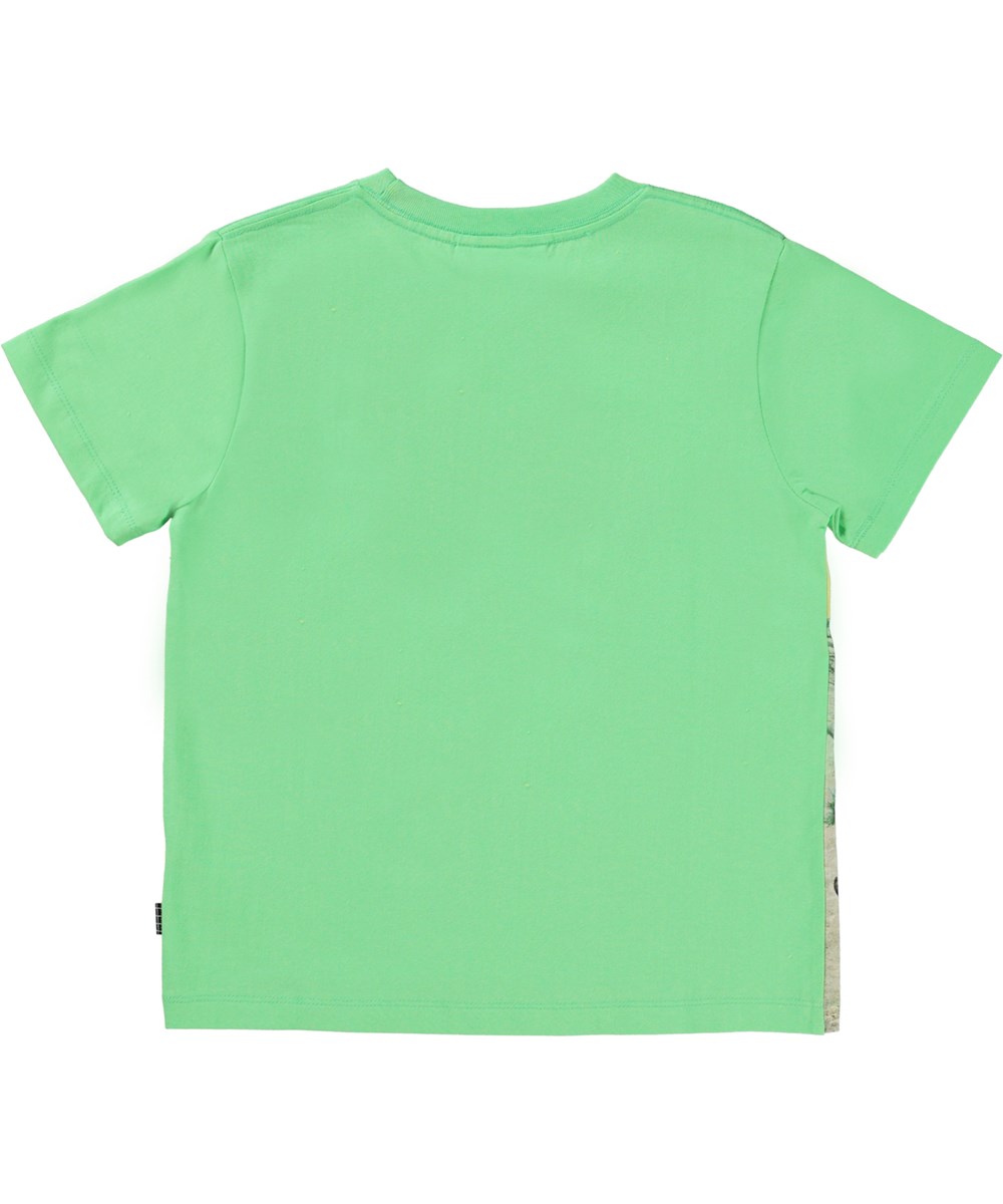 Rame - Colourful Dinos - Organic green t-shirt with dinosaur print
